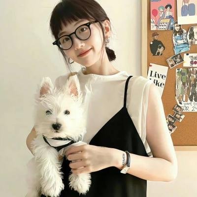 公牛费迪南