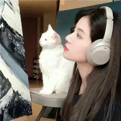 我找宾拉登